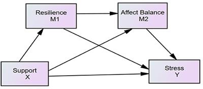 How Do Specific Social Supports (Family, Friend, and Specialist) Reduce Stress in Patients With Substance Use Disorders: A Multiple Mediation Analysis